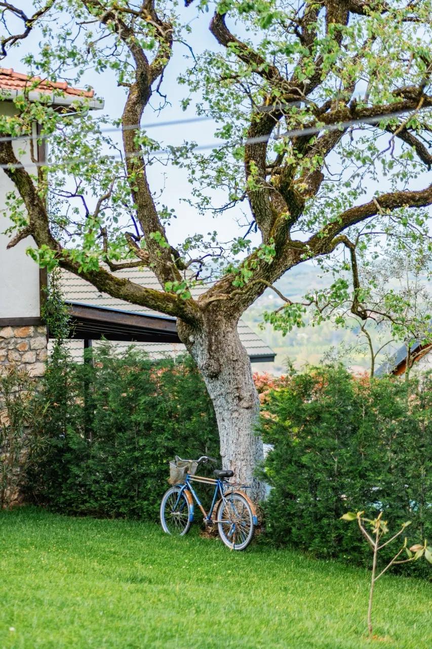 Galeri (En az 5 adet fotoğraf yüklemeniz gerekmektedir.)